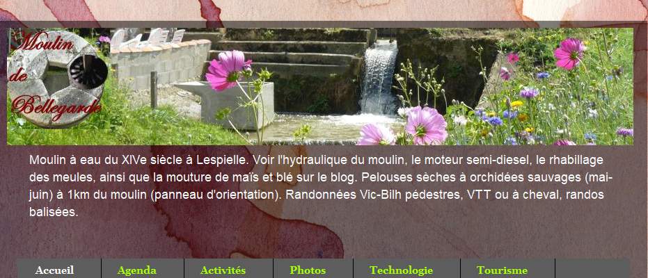 Annuaire aquitaine vers le site Moulin  eau de Bellegarde 64350, fabrique de farine 