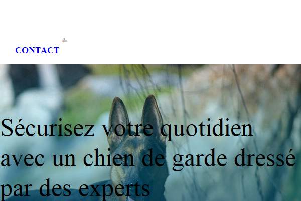 Annuaire pays-de-la-loire vers le site Vente de Chiens Dresss de Protection, Education Canine 