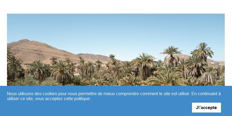 Annuaire bretagne vers le site Ablain Caroline, Photographe Professionnelle 