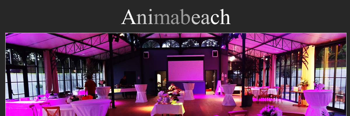Annuaire basse-normandie vers le site Discomobile Animabeach, animation de mariage, anniversaire 