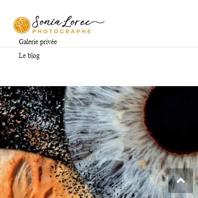 Annuaire bretagne vers le site Sonia Lorec, Photographe Professionnelle, Photos de Mariage 