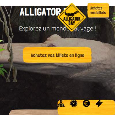Annuaire basse-normandie vers le site Alligator Bay - Reptilarium du Mont St Michel, Les Reptiles 